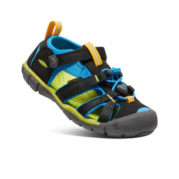 Little Kids' Seacamp II CNX  |  Black/Brilliant Blue