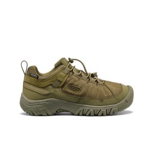 Big Kids' Targhee IV Waterproof Hiking Shoe  |  Martini Olive