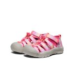 Little Kids' Newport H2  |  Hot Pink/Orchid Petal