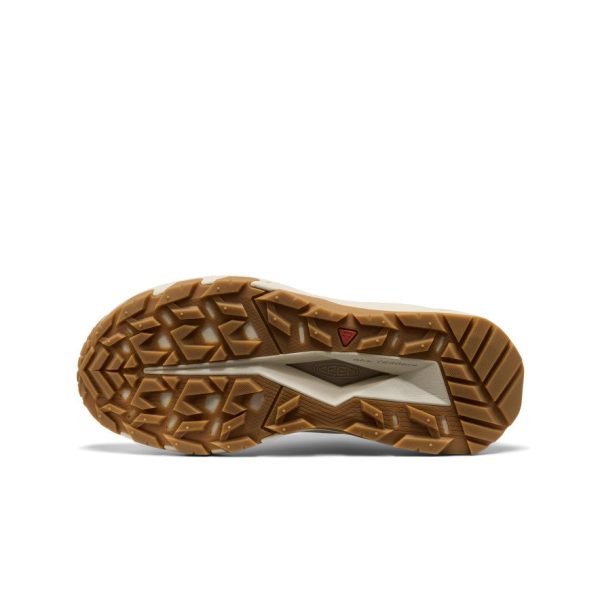 Women's Targhee Apex Waterproof Hiking Shoe  |  Safari/Birch