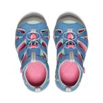 Little Kids' Seacamp II CNX | Coronet Blue/Hot Pink