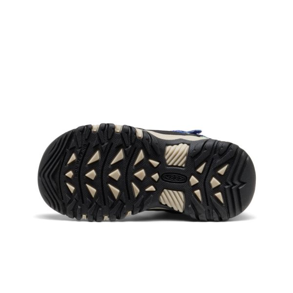 Little Kids' Targhee IV Waterproof Hiking Boot  |  Skipper Blue/Hemlock