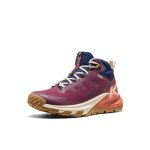 Women's Targhee Apex Waterproof Hiking Boot  |  Fig/Burnt Brick
