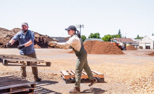 Women's Skokie Waterproof Work Boot (Carbon Toe)  |  Bison/Black