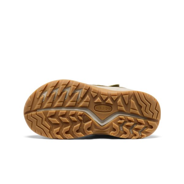 Little Kids' Hightrail Waterproof Hiking Boot  |  Dark Olive/Martini Olive