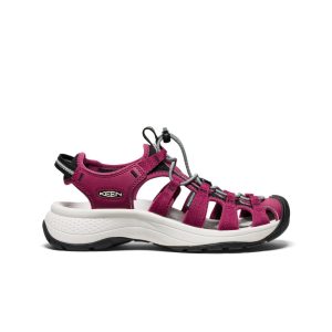 Women's Astoria West Sandal  |  Beaujolais/Star White