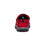 Toddlers' Newport H2  |  Ribbon Red/Gargoyle