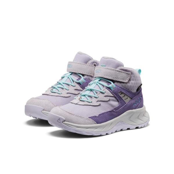 Little Kids' Hightrail Waterproof Hiking Boot | Purple Haze/Thistle
